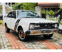 Nissan Sunny B310 - 1981