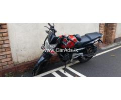 Pulsar 135 - 2010
