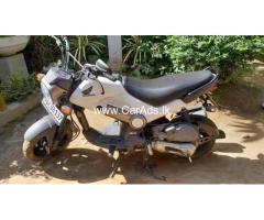 Honda Navi - 2017