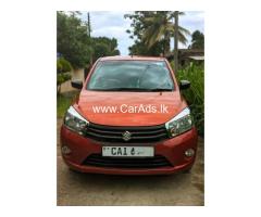Celerio Ixi 2015