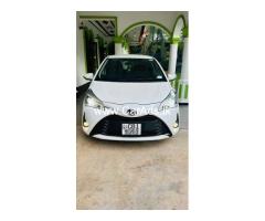 Toyota Vitz - 2019