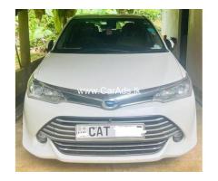 TOYOTA AXIO G GRADE 2016