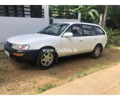 Toyota Corolla - 1991