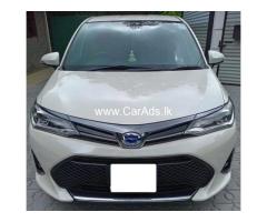 Toyota Axio WXB 2019