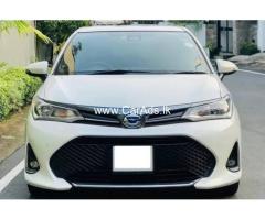 Toyota Axio WXB 2019