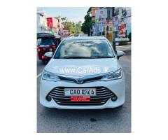 Axoi G grade -2016